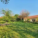 Bleuet Auriac-du-Périgord