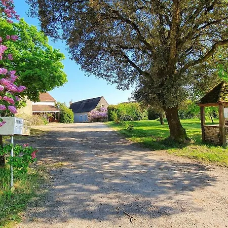 Bleuet Auriac-du-Perigord