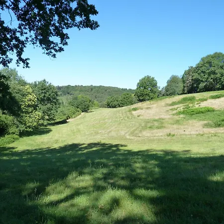 Bleuet * Auriac-du-Perigord