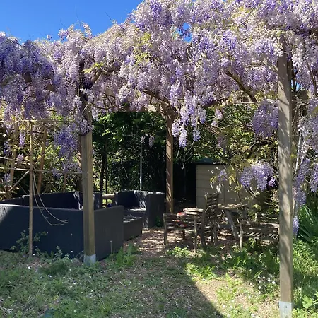 Bleuet Frühstückspension Auriac-du-Périgord