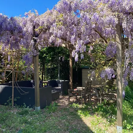 Bleuet فندق مبيت وإفطار Auriac-du-Périgord