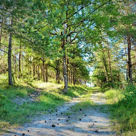 Bleuet Auriac-du-Périgord